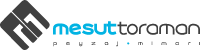 Mesut Toraman