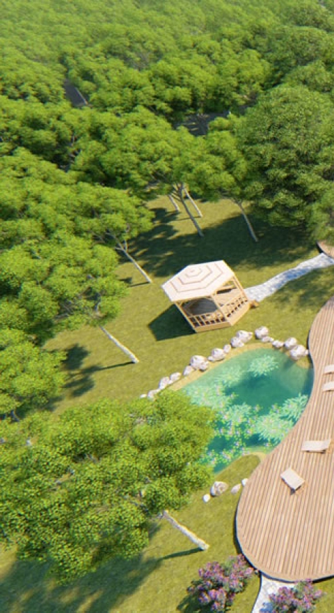 Bolu - A Tipi Mesire Alanı Planlama ve Tasarım Projesi - Terapi Ormanı